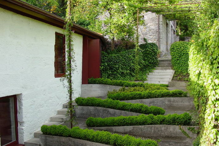 GardenSummer