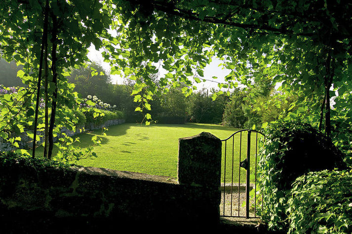 GardenSummer