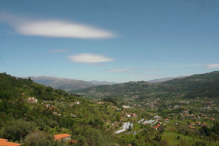 ViewSummer