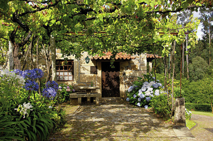 GardenSummer