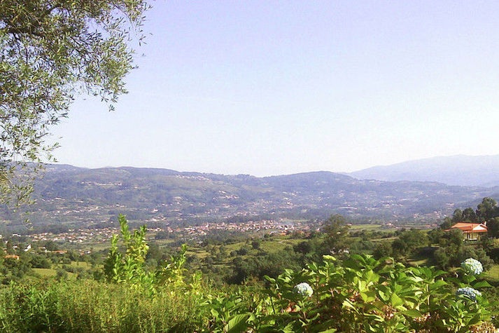ViewSummer