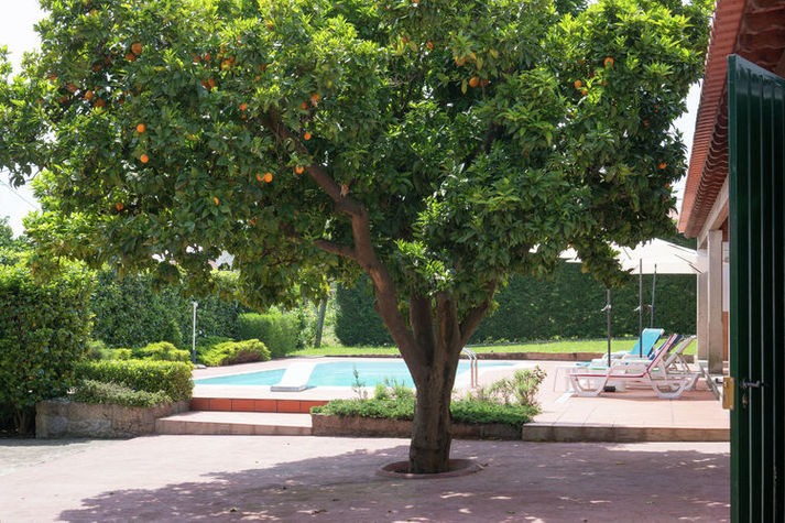 GardenSummer