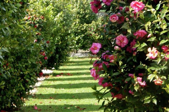 GardenSummer