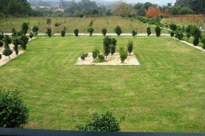 GardenSummer