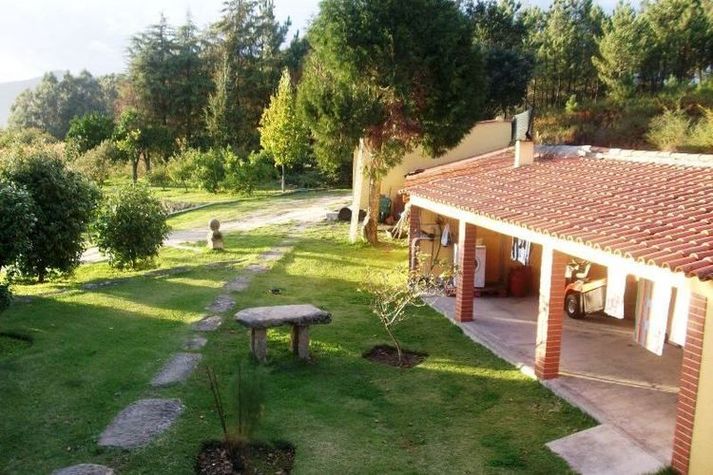 GardenSummer