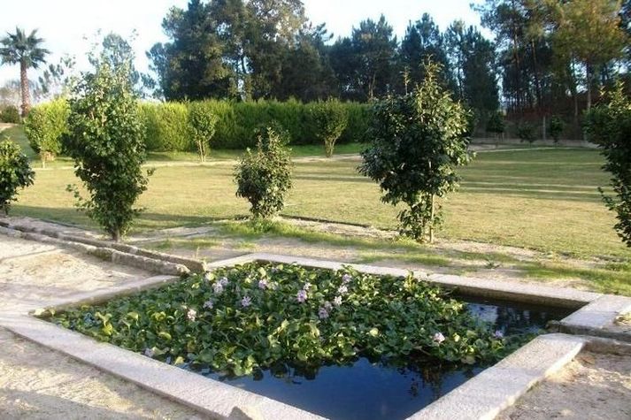 GardenSummer