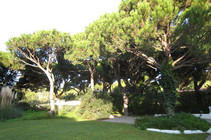 GardenSummer