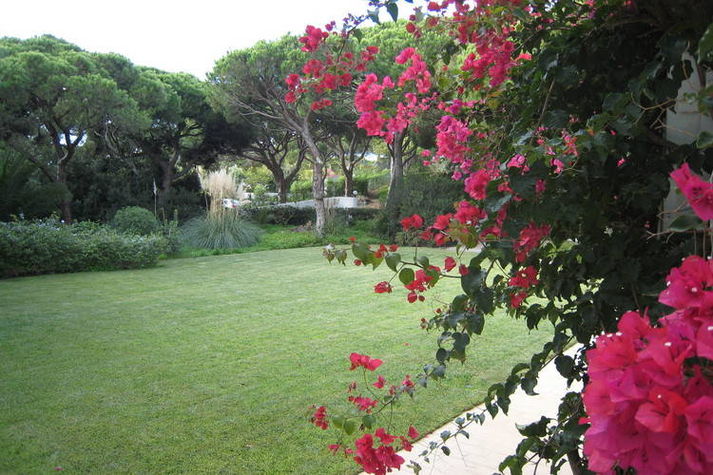 GardenSummer