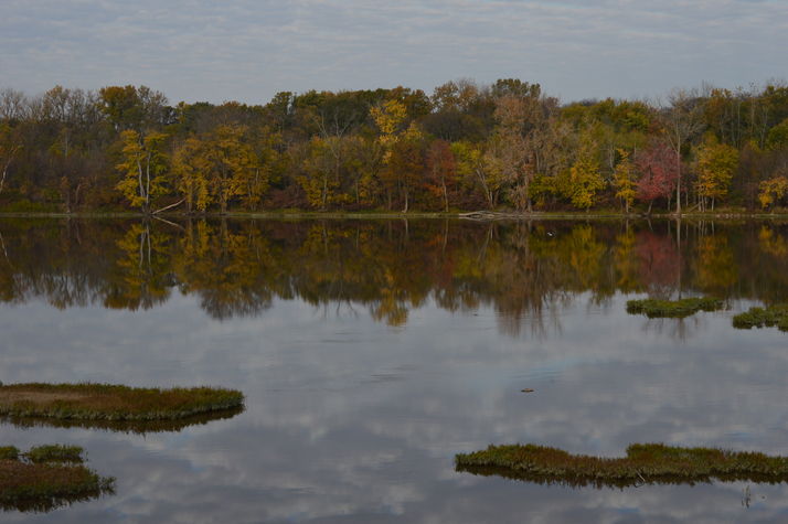 Autumn at The ARThouse