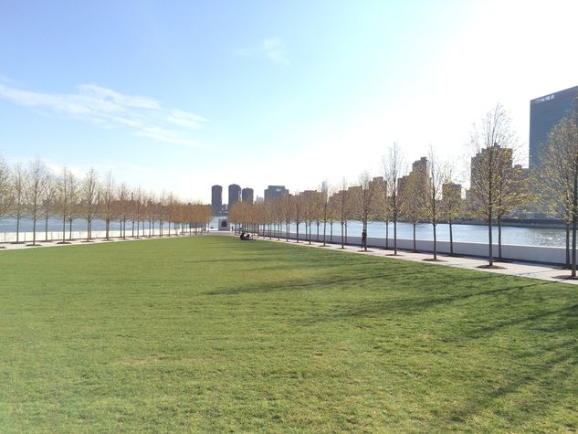Roosevelt park view