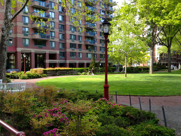 Park infront of the building