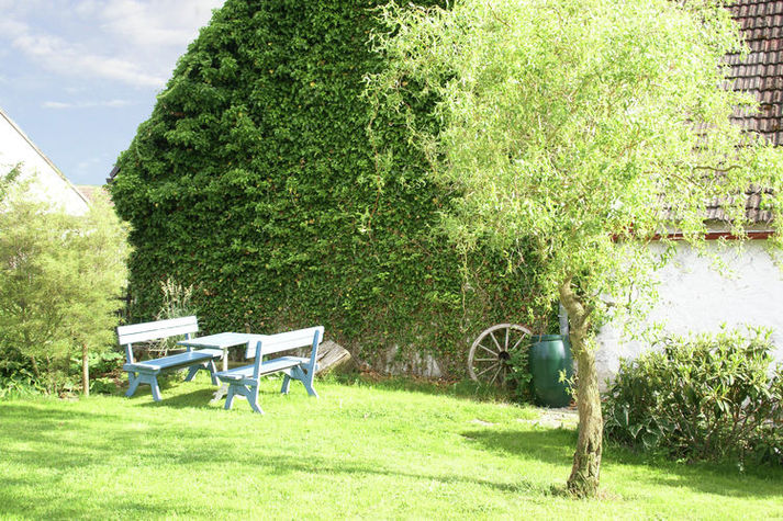 GardenSummer
