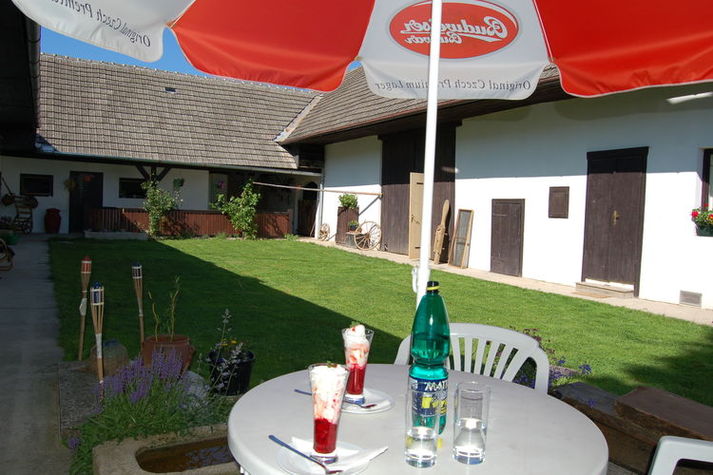 ViewSummer