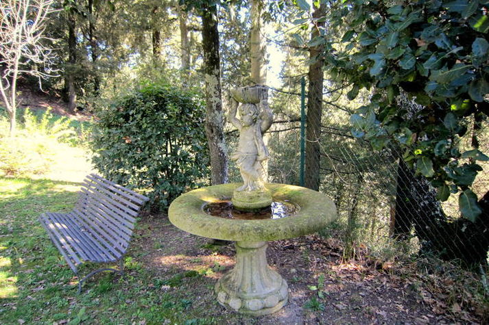 GardenSummer