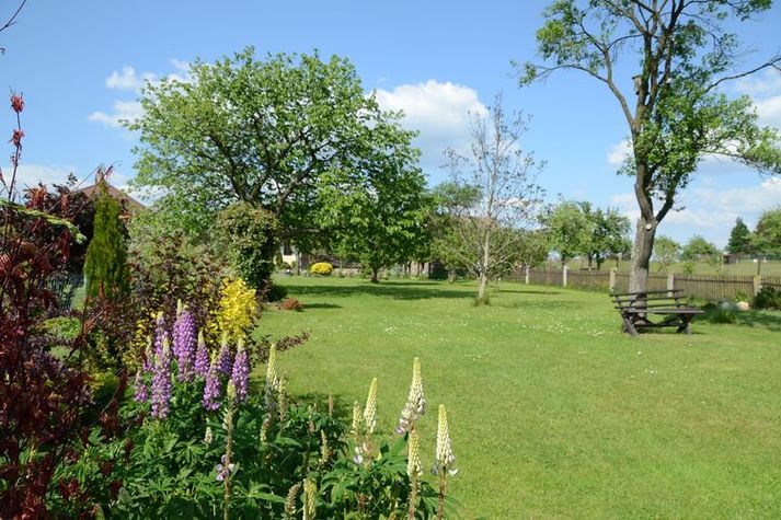 GardenSummer