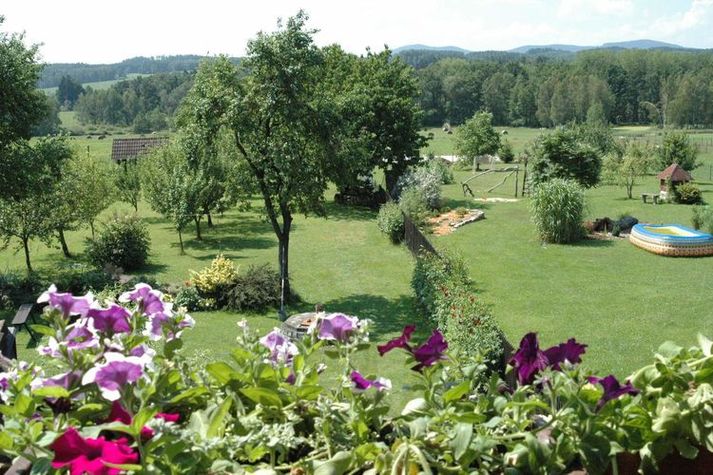 ViewSummer