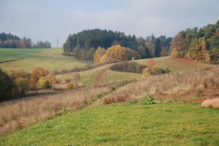 ViewSummer