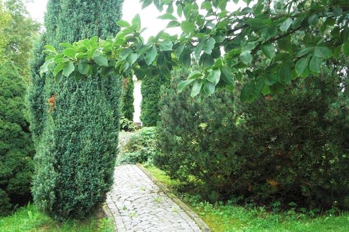 GardenSummer