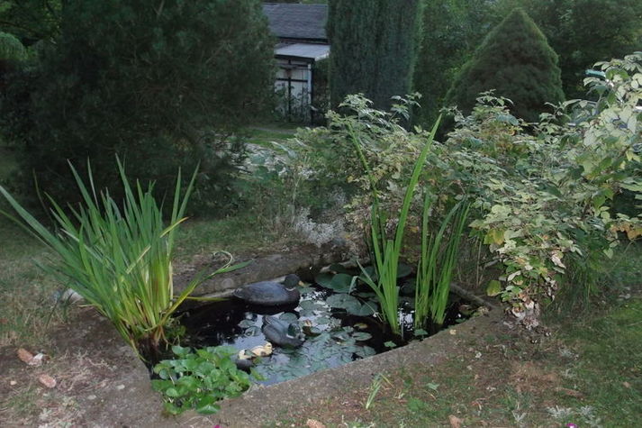 GardenSummer