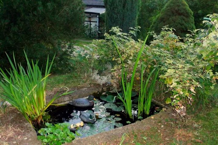 GardenSummer