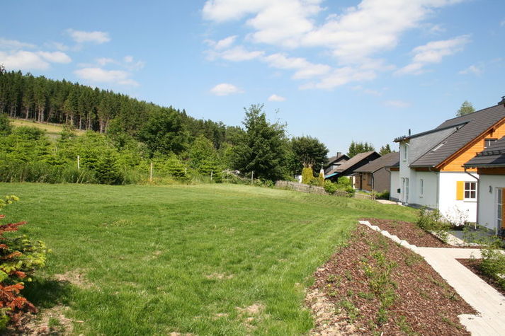 GardenSummer