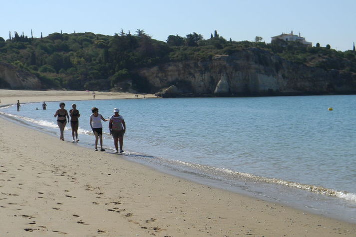 AreaSummer1KM