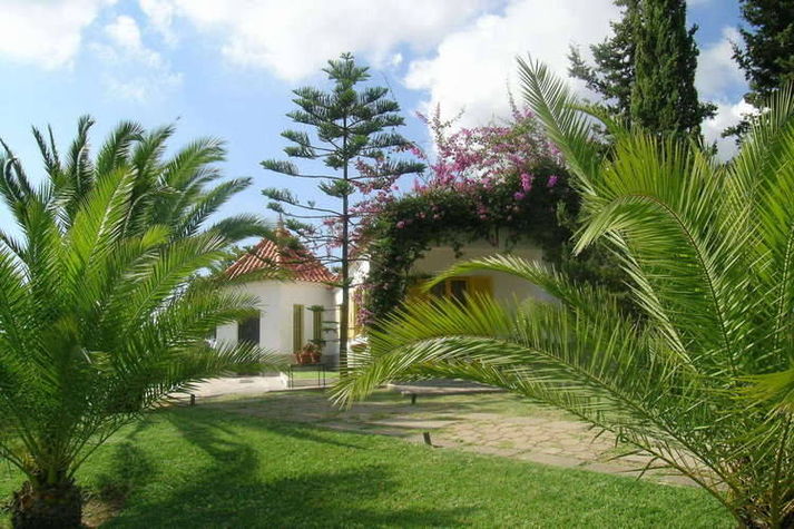 GardenSummer