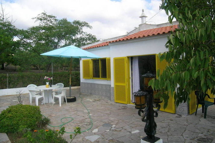 GardenSummer