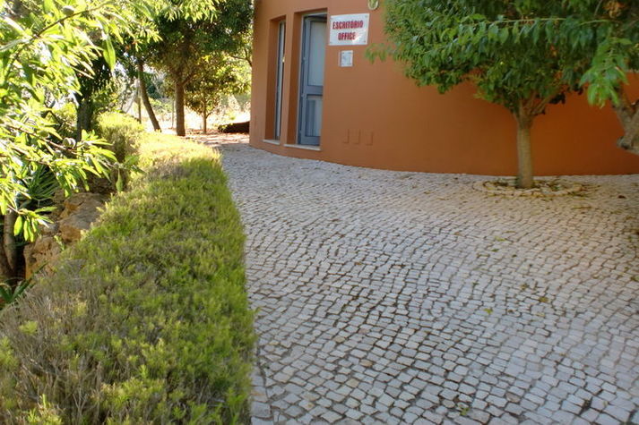GardenSummer