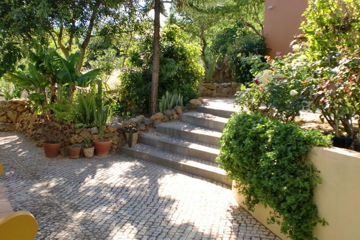 GardenSummer
