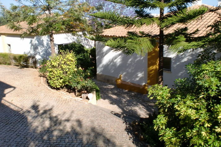 GardenSummer