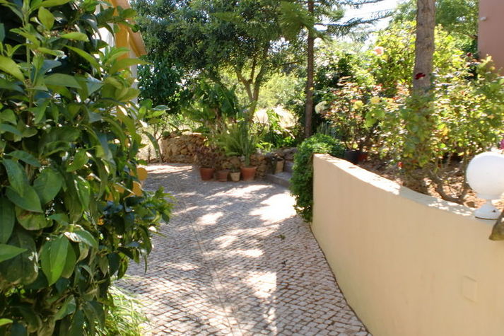 GardenSummer