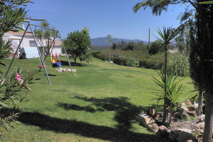 GardenSummer