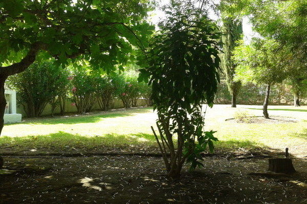 ExteriorSummer