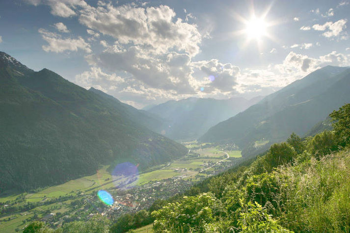 ViewSummer