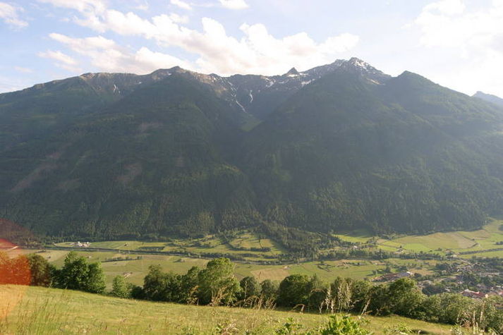 ViewSummer