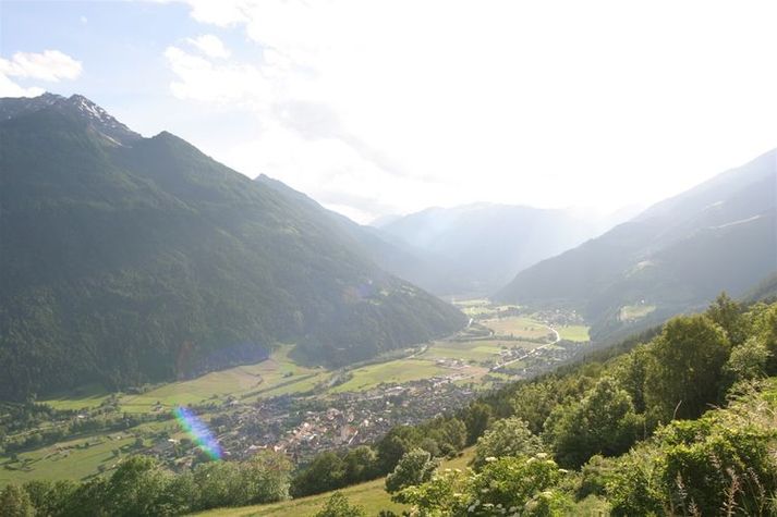 ViewSummer