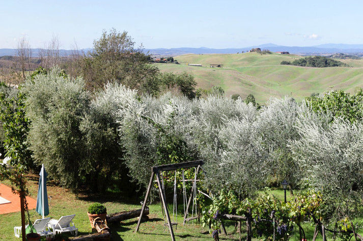 GardenSummer