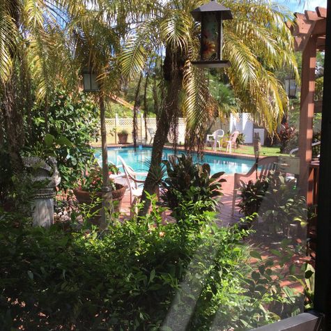 View from Patio of Pool & Yard.