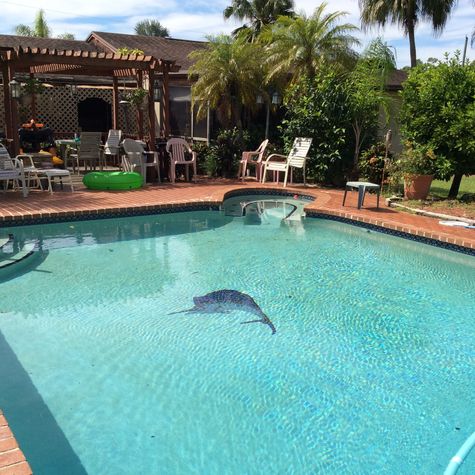 Pool is for your private use!