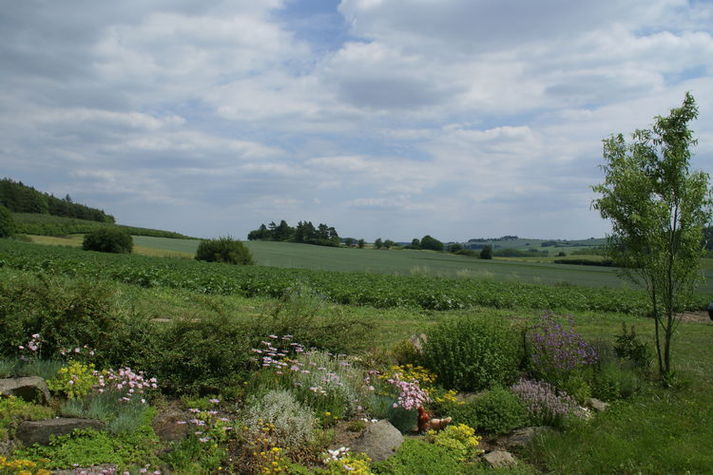 ViewSummer