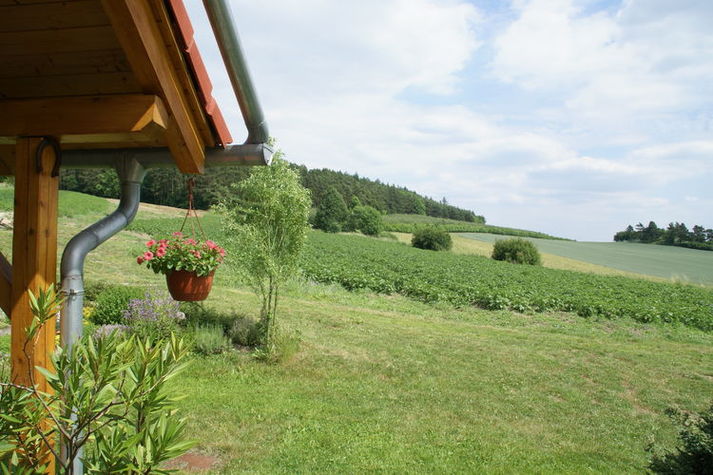 GardenSummer