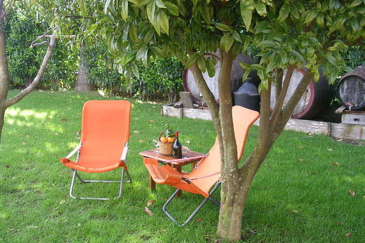 GardenSummer