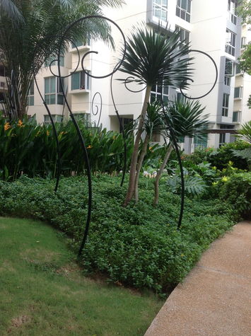 Beautiful garden