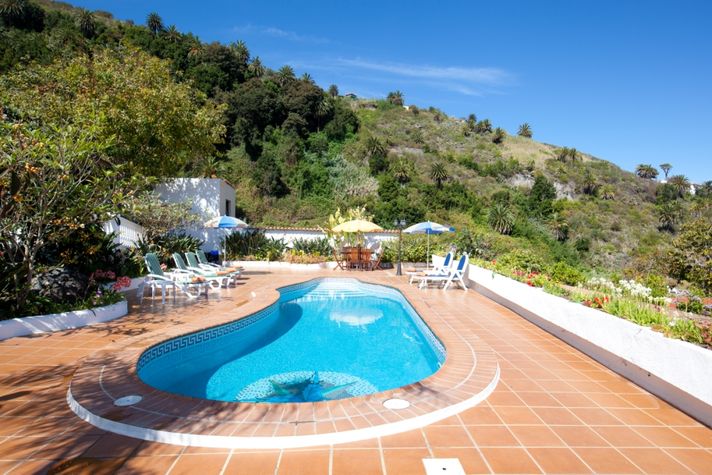 Pool and the Rain forest