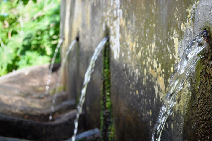 Water from the forest