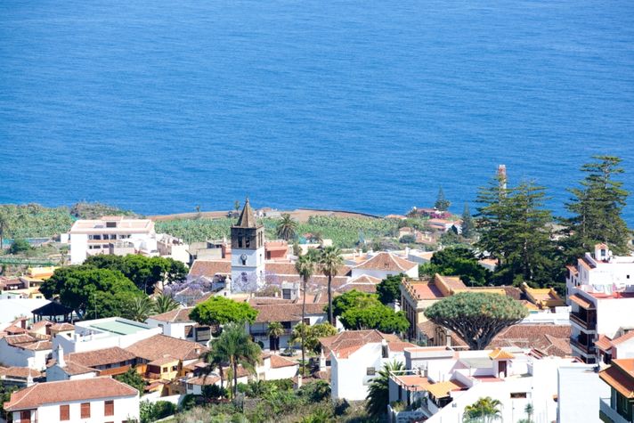 Our view of Icod de los Vinos and the Dragtrees