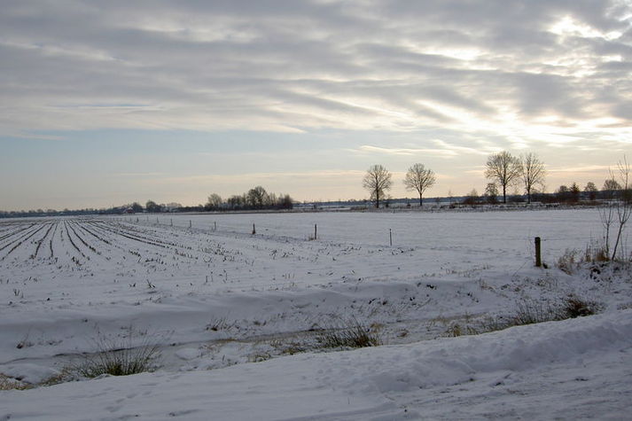 ViewWinter