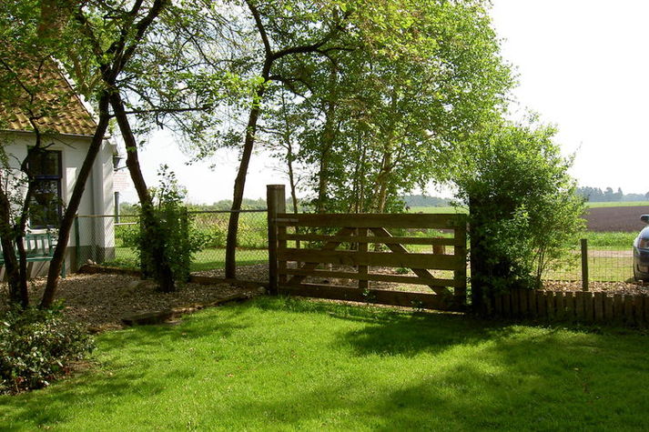 ViewSummer