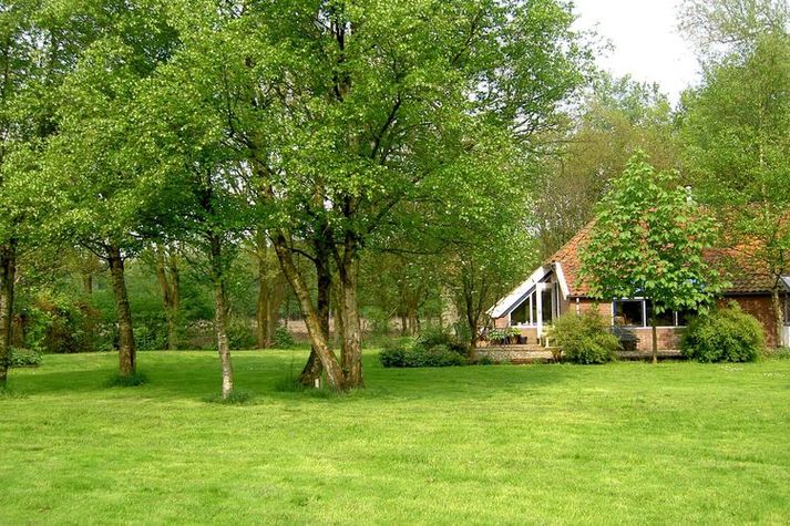 GardenSummer